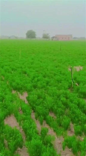 #Jira #Atlassian # #Agile #Scrum #Kanban #DevOps #Teamwork #Productivity #Workflow #ITSM