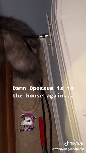 WendyMcGee on TikTok