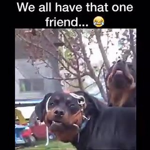 Major derp face lol | Ownage Pranks