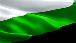 Neutrois Flag Rainbow waving. 3d Non binary Pride Symbol flag waving...