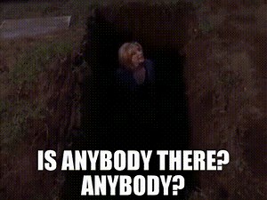 Is anybody there? Anybody?