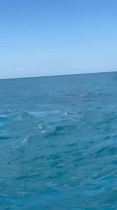 Life Privilege Part 2 | Cher Rie