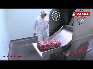 LASKA G530 Application (EN)