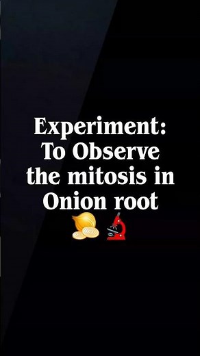 Class 12th Experiment: To Observe the mitosis in Onion root | 🧅🔬| Experiment