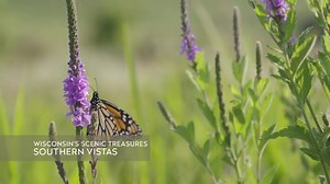 4.4K views · 121 reactions | Did you catch the premiere of...