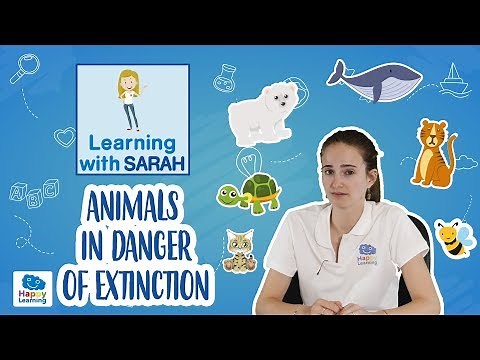 Endangered Species: Animals in Danger of Extinction | LEARNING WITH SARAH | EDUCATIONAL VIDEOS