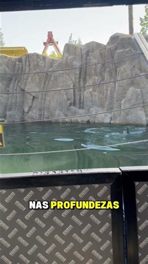 Tubarões banidos do Zoológico! #curioso #incrivel #interessante