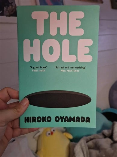 The Hole: A Captivating Novella by Hiroko Oyamada