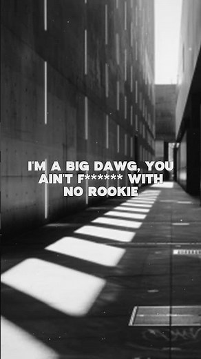 Sexyy Red - Hood B'tch / lyrics
