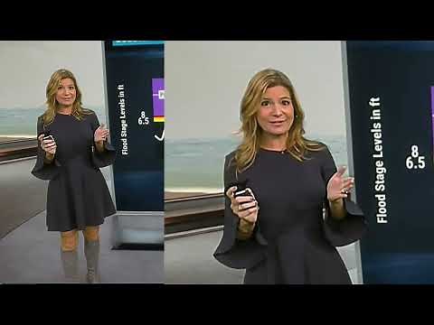 Jen Carfagno - The Weather Channel - 110421 Grey Dress and Boots - Easy On The Eyes