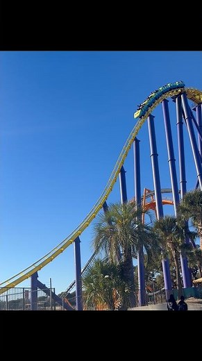 Hypercoaster Steel Eel in action at SeaWorld San Antonio 🎢 Fast, tall, and thrilling to watch!