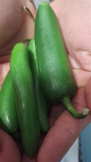 the famous tiktok snack😁🔥🔥 #trending #snacksrecipe #eggs