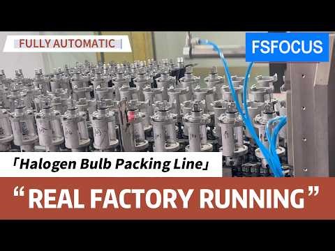 FSFOCUS Automatic Halogen Bulb Packaging Machine Working in Real Customer Factory