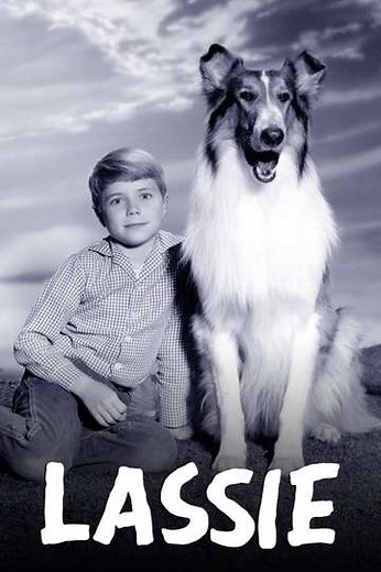 Lassie (1954-1973) - TV Show