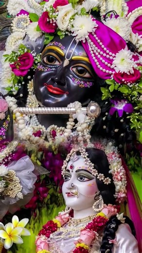 Radha Krishna🐚🦚🪷 #radhakrishna #radheradhe #krishna #radhekrishna #shyam #radheshyam #radharani #god