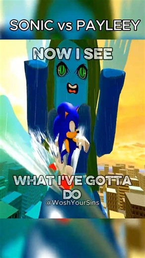 PAYLEEY vs SONIC | PUNISHMENT INCOMING