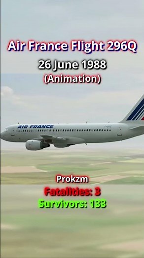 Plane Crash Animation vs Real Life (Part 6) #aviation #aviationdisaster #caughtoncamara #planecrash