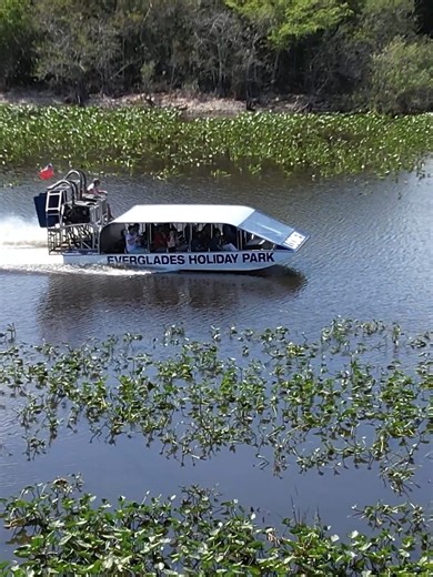 Thrilling Everglades Airboat Tours in Florida
