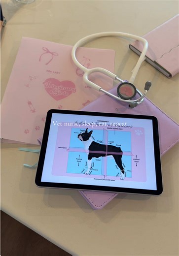 Essential Vet Tech Life Hacks for Busy Professionals