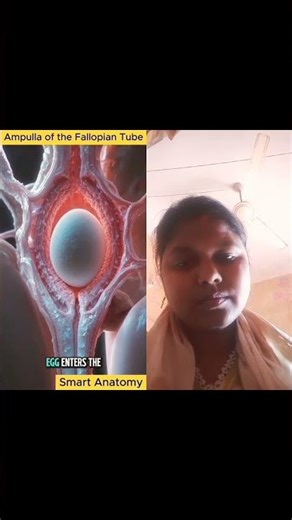 Human fertilization process in 3D Animation #anatomy #fetalmovement #shortvideo