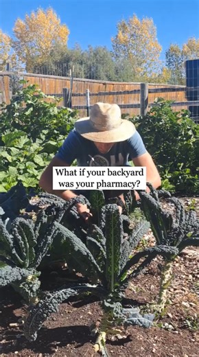 Big pharma exposed, shocking numbers you need to see