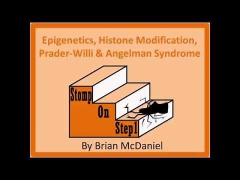 Epigenetics, Prader-Willi Sydrome, Angelman Syndrome, Methylation, Imprinting, Heterochromatin