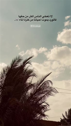 فالورد يموت احيانا من كثرة الماء🩶. #اقتباسات #تصويري #عباراتكم_الفخمه📿📌 #fyp #العراق