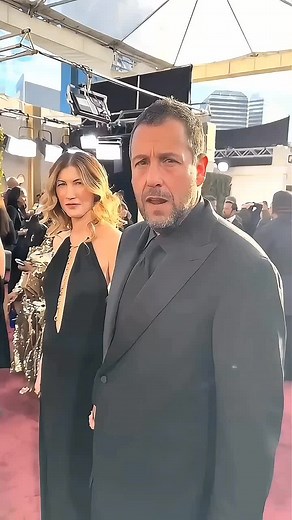 Wet Owl Memes: A Hilarious Return