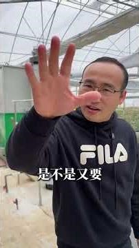 Revolutionizing Farming: AI-Driven Irrigation & Fertilizer Tech Unveiled