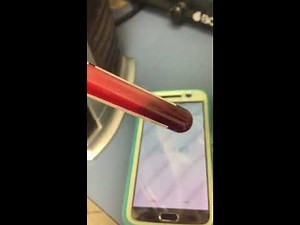 ACT blood coagulation test on a dog