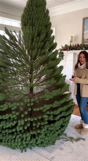 Unexpected Christmas Tree Surprise! Watch as a Christmas tree reveals a hidden surprise! #fblifestyle #AI Generated using Kling AI . . . (For entertainment purposes only. Consult professionals if guidance on activities is presented. No brand affiliation is implied if any are shown. If inspired by true events, creative adaptations may be included. Content may include public footage.) | Fabiosa - Live easy