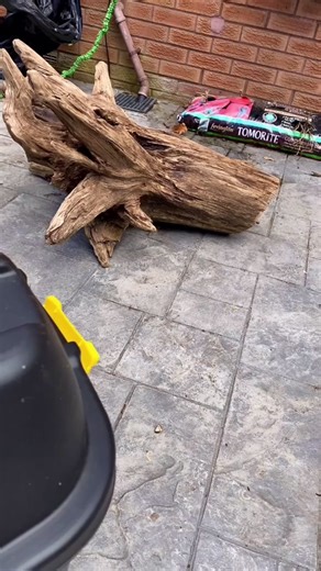 Aquascape Driftwood Tank Safe Part 2