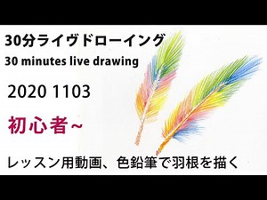【色鉛筆画】初心者からOK！グラデーションとストロークで羽根を描く。30分ライヴドローイング!coloredpencil drawing
