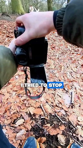 Freckle the Russian Wolfhound — A Breed I’d Never Seen Before 🐾