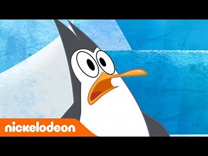 Objectif Blake | Un cerveau d'oiseau! | Nickelodeon France