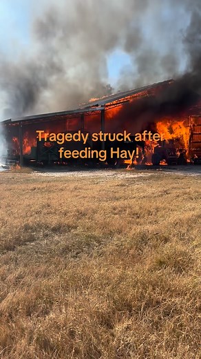 8.7K views · 16K reactions | https://www.gofundme.com/f/help-rebuild-our-familys-ranch-after-fire?attribution_id=sl:0818ff01-7def-45f6-8700-c3bfef9c1e82&lang=en_US&ts=1763432593&utm_campaign=fp_sharesheet&utm_content=amp17_tc&utm_medium=customer&utm_source=copy_link | Alapaha River Meats | Facebook
