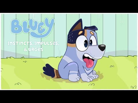 Instincts, Impulses & Urges | Animatic