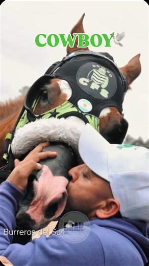 Bran⚡️🏇 on Instagram: "COWBOY🤠(DUBLIN VERDE🇧🇷)🕊️ Te recordaremos como un gran campeón🥇 #turfargentino #argentina #horse #caballos #hipodromo27deabril"