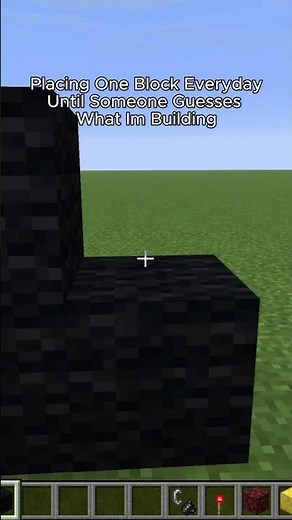 Placing One Block Everyday Until Someone Guesses What Im Building #minecraft #shorts