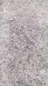 3.3K views · 62 reactions | Maghanda dahil bukas na ang ONSITE JOB...