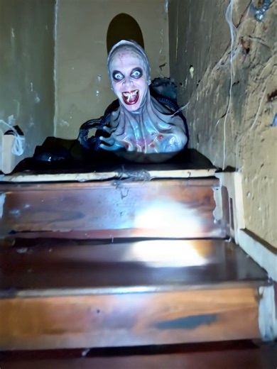 Unsettling Attic Encounters: Caught on Camera