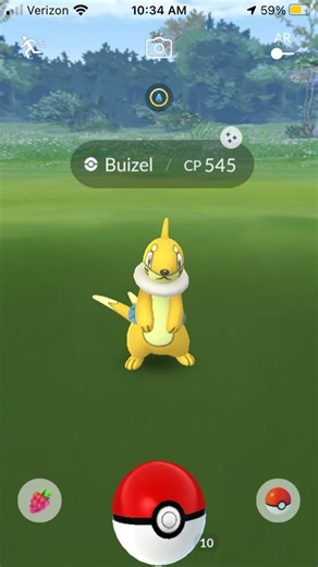 Buizel Pokémon: How to Catch, Moves, Pokedex & More