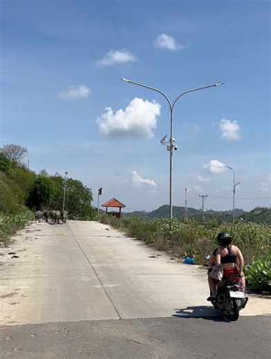 Scott Christensen Artist on Reels