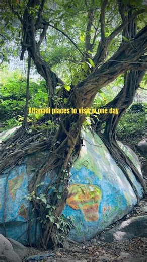 ⛰️ Attapadi must visit places | Attapadi tourism | One day trip.#attapadi #palakkad #keralatourism