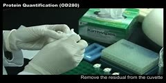 Protein Quantification (OD280)