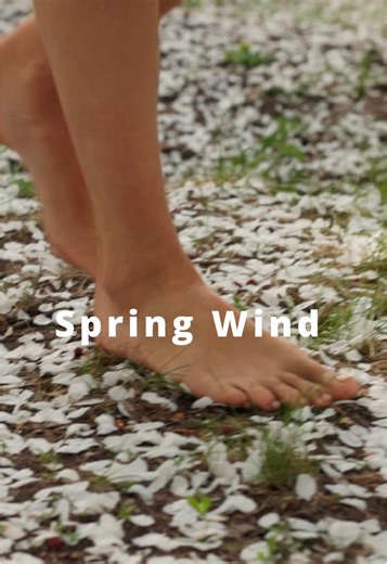 Spring Wind - Acoustic Background Music for video Feel the gentle breeze and warmth of spring with