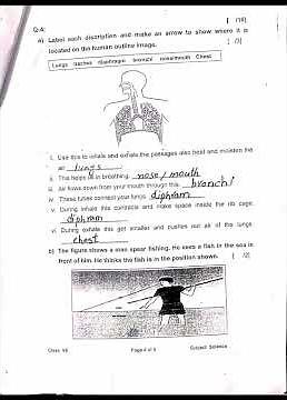 APS Past Paper Science Solution- 7th