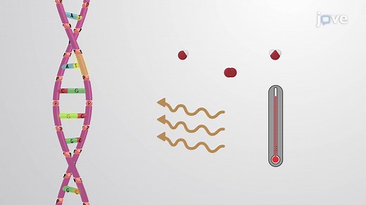 Video: Overview of DNA Repair