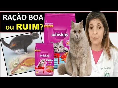 Whiskas é Boa Whikas faz mal? Verdade Revelada Whiskas filhote e Adulto