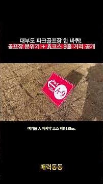 #대부도파크골프장 #대부도골프 #파크골프 #파크골프장추천 #A코스 #파크골프브이로그 #골프장한바퀴 #골프장분위기